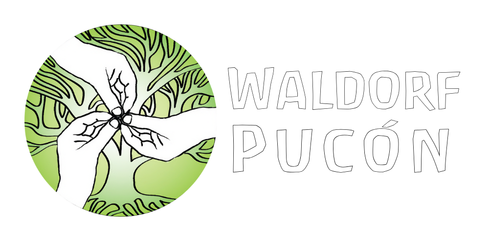 logo waldorf pucon horizontal (1)
